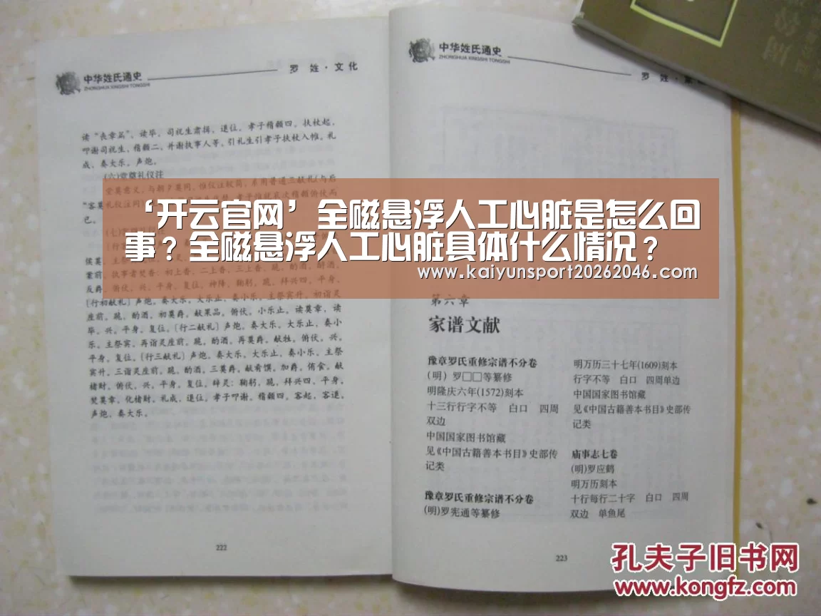 开云入口