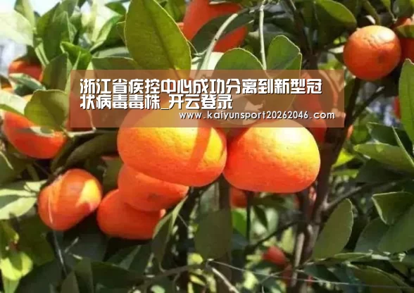 浙江省疾控中心成功分离到新型冠状病毒毒株_开云登录(图1) 开云登录