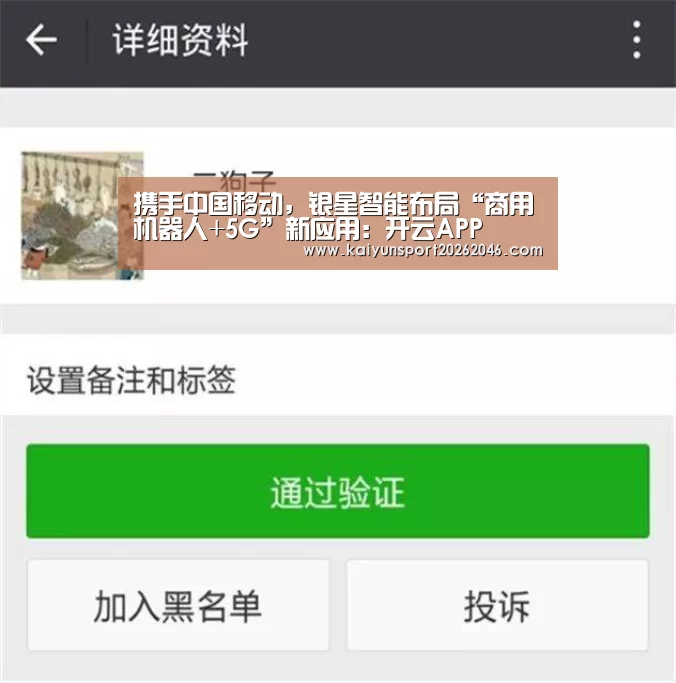 开云APP