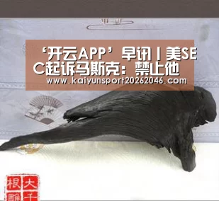‘开云APP’早讯丨美SEC起诉马斯克:禁止他在上市公司担任高管;玖富完成E轮融资(图4) 开云APP